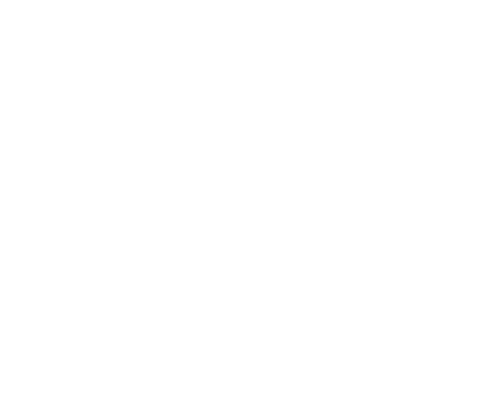 Study Experience